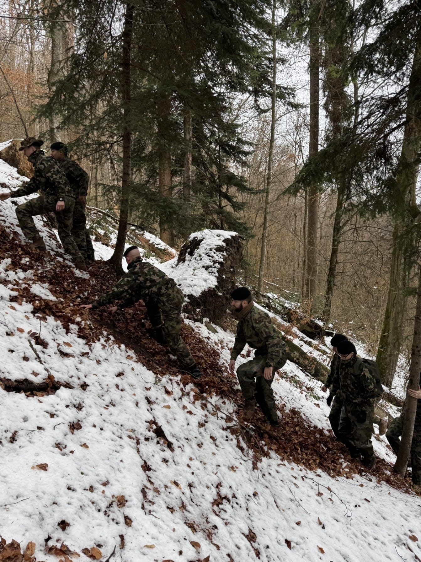 Einfluss von Risikotransparenz auf die militärische Leistung und das Stressempfinden