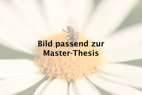 [Titel der Master-Thesis]