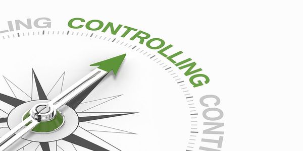 Die Herausforderungen und zukünftigen Aufgaben im Controlling in der dynamischen und datenbasierten Ausrichtung bei der Praxispartnerin