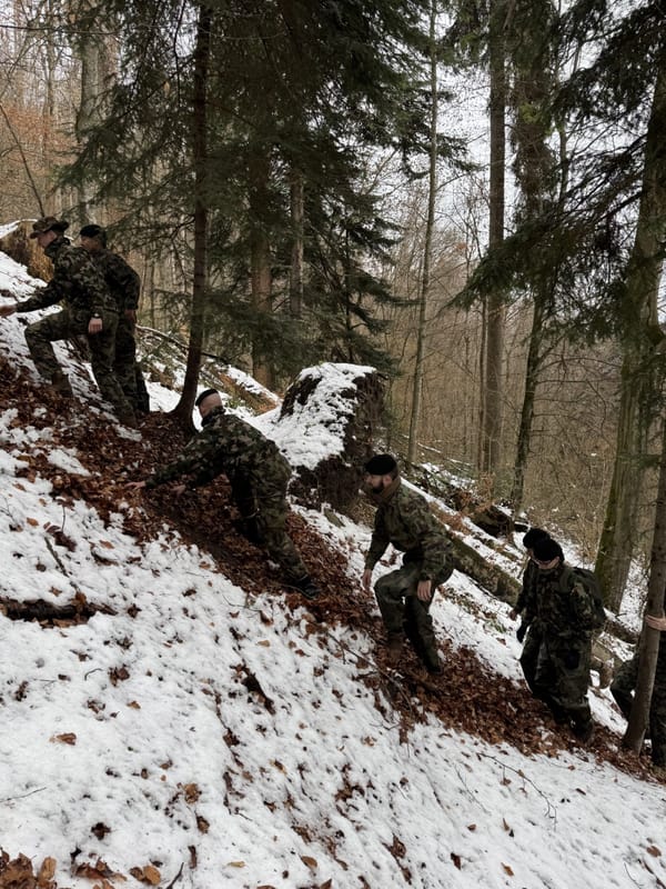 Einfluss von Risikotransparenz auf die militärische Leistung und das Stressempfinden